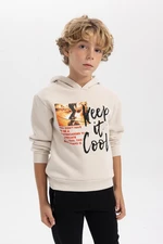 DEFACTO Boy's Thick Hooded Sweatshirt