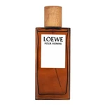 Loewe Pour Homme toaletná voda pre mužov 100 ml