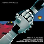 Various Artists - Pink Floyd Tribute: Still Wish You Were Here (Coloured) (LP)