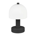 Czarno-biała lampa stołowa ze szklanym kloszem (wysokość 19 cm) Glenn – Trio