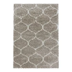 Beżowy dywan 160x230 cm Salsa – Ayyildiz Carpets