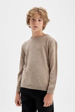 DEFACTO Boy's Beige Crew Neck Basic Plain Knitwear Sweater