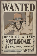 Plakát 61x91,5cm - One Piece - Wanted Ace