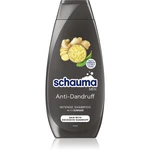 Schwarzkopf Schauma Anti-Dandruff šampón proti lupinám so zázvorom pre mužov 400 ml