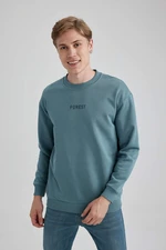 DEFACTO Boxy Fit Long Sleeve Sweatshirt