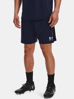 Pánske kraťasy Under Armour