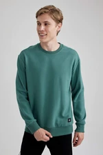 DEFACTO Regular Fit Long Sleeve Sweatshirt