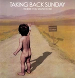 Taking Back Sunday Where You Want to Be (LP)