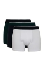 DEFACTO Regular Fit 3-pack Boxer