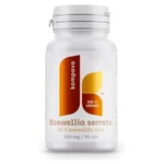 KOMPAVA Boswellia serrata 305 mg 90 kapsúl