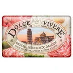 Nesti Dante Dolce Vivere mydlo Fine Natural Soap Pisa 250 g