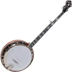 Recording King RK-ELITE-76 Banjo