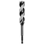 Hadovitý vrták 14 mm kwb 042814, uchycení 1/4" (6,3 mm), délka 165 mm 1 ks