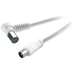 Antény kabel SpeaKa Professional SP-7869944, 75 dB, 90° zatočeno doprava, 5.00 m, bílá