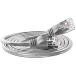 Síťový kabel RJ45 Slim Wirewin PKW-LIGHT-STP-K6 0.25, CAT 6, U/FTP, 25.00 cm, šedá