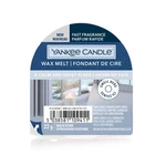 Vosk YANKEE CANDLE 22g A Calm & Quiet Place