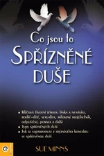 Co jsou to spřízněné duše - Sue Minns