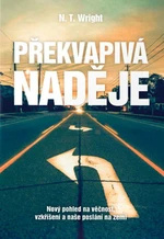 Překvapivá naděje - N.T. Wright