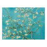 Reprodukcia obrazu Vincenta van Gogha - Almond Blossom, 70 × 50 cm