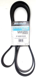 Quicksilver Belt 865615Q08