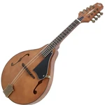 VGS 505448 Mandolino