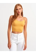 Dilvin Women's Orange Elastic Crop Top - orange