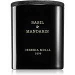 Cereria Mollá Boutique Basil & Mandarin vonná sviečka 230 g