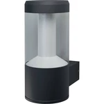 LEDVANCE SMART +  SMART+ BT Lantern Multicolour   12 W RGBW