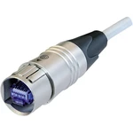 Neutrik NKE6S-3 RJ45 sieťové káble, prepojovacie káble CAT 6 S/FTP 3.00 m biela  1 ks