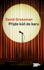 Přijde kůň do baru - David Grossman