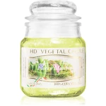 THD Vegetal Fiore E Muschio vonná svíčka 100 g