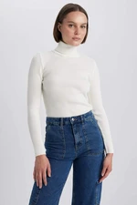 DEFACTO Slim Fit Turtleneck Knitwear Pullover