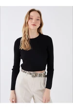 LC Waikiki Crew Neck Straight Long Sleeve Crop Women's Knitwear Sweater