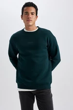 DEFACTO Boxy Fit Crew Neck Printed Sweatshirt