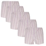 5PACK classic men's boxer shorts Foltýn brown with stripes