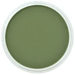 PanPastel 9ml – 660.3 Chromium Oxide Green Shade