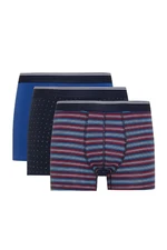 DEFACTO Regular Fit 3-pack Boxer