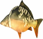 BeCare Pillow Mirror Carp L 67 cm