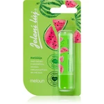 Regina Juicy Summer Watermelon jelení loj 4,5 g