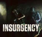 Insurgency ASIA Steam CD Key