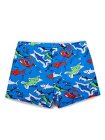 Yoclub Kids's Boys' Swimming Shorts LKS-0060C-A100