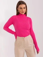 Dark pink turtleneck with a wide stripe