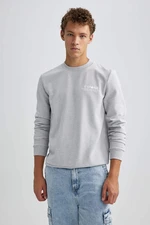 DEFACTO Slim Fit Printed Long Sleeve Sweatshirt