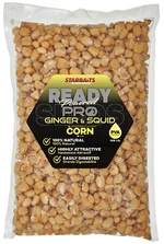 Starbaits kukurica ready seeds pro ginger squid - 1 kg