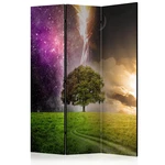 Paraván Magic Tree Dekorhome 135x172 cm (3-dílný)