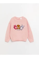 LC Waikiki LCW baby Crew Neck Embroidered Long Sleeve Baby Girl Knitwear Sweater