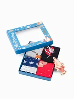 Edoti Men's socks X-mas box