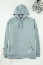 Trendyol Grey Plus Size Hooded Labeled Fleece/Warm Sweatshirt