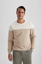 DEFACTO Comfort Fit Crew Neck Thick Sweatshirt