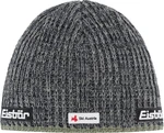 Eisbär Rene SKA Beanie Misty Forest/Grafity Grey UNI Căciulă